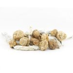 Shrooms - Amazonian - Image 2