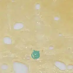 white sangria shatter crop