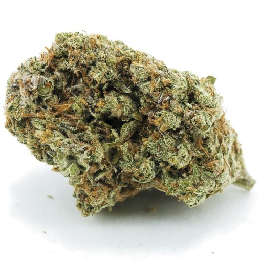 Bacio Gelato AAAA - Hybrid