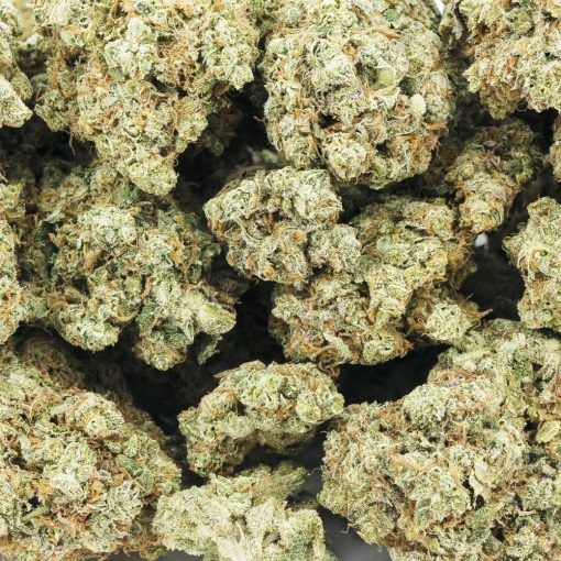 bacio gelato aaaa wholesale