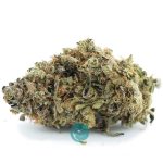 Blue Widow A - Hybrid