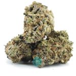 blue widow a three nug