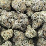 Wholesale - Capulator - AAAA