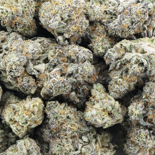 Wholesale - Capulator - AAAA