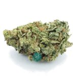 Gummy Buns AA - Indica