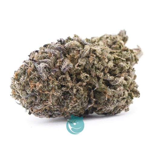 Hindu Cream AA - Indica