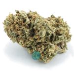 lap dance a nug