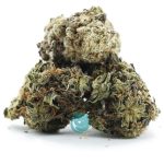 lap dance a three nug