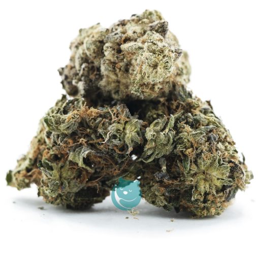 lap dance a three nug