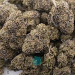 Wholesale - Lavender Goo - AAA