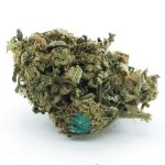 Lazy Train A - Indica