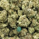 lazy train a wholesale