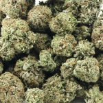 Wholesale - Pink God - AA