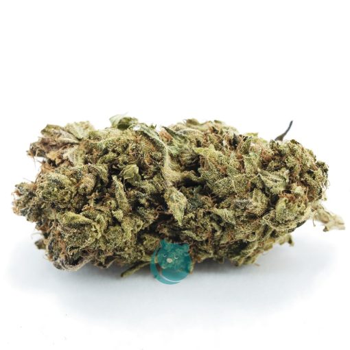 russian rocket fuel aa nug