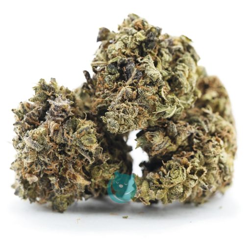 russian rocket fuel aa three nug