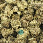 russian rocket fuel aa wholesale