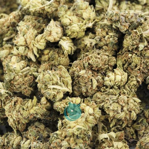 russian rocket fuel aa wholesale