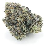 Snoop's Master Kush Craft - Indica