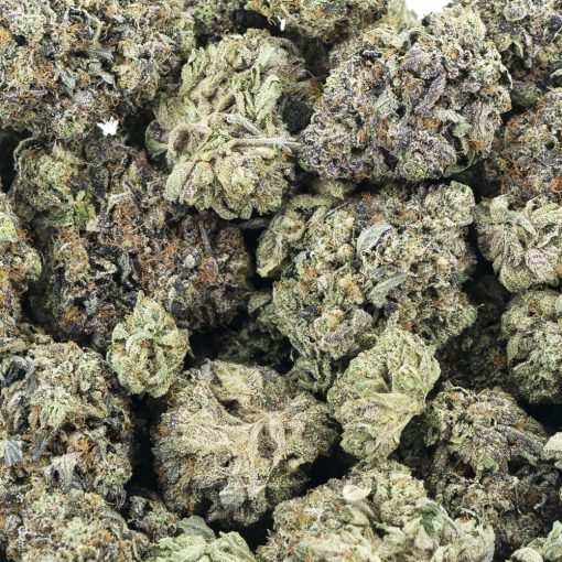 Wholesale - Snoop's Master Kush - Craft