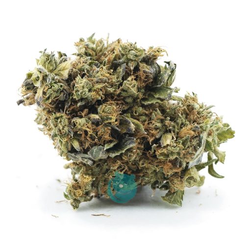 sugartown express a nug