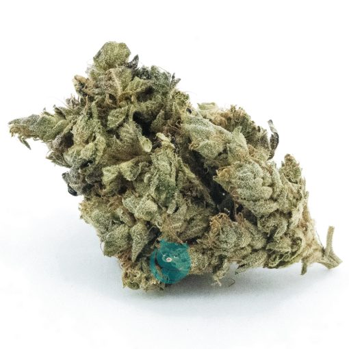 White Master A - Hybrid