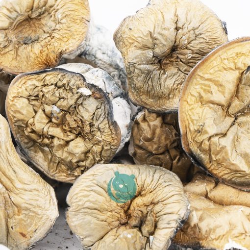 Wholesale - Shrooms - Makilla Gorilla