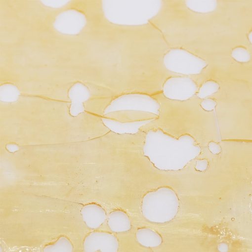 dreamer's glass shatter crop