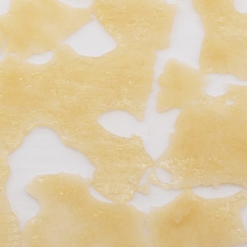 dutch treat shatter crop