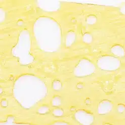 og panda snax shatter crop