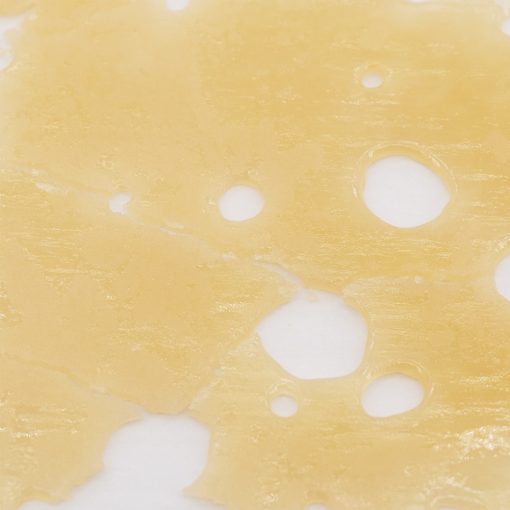 sugar black rose shatter crop