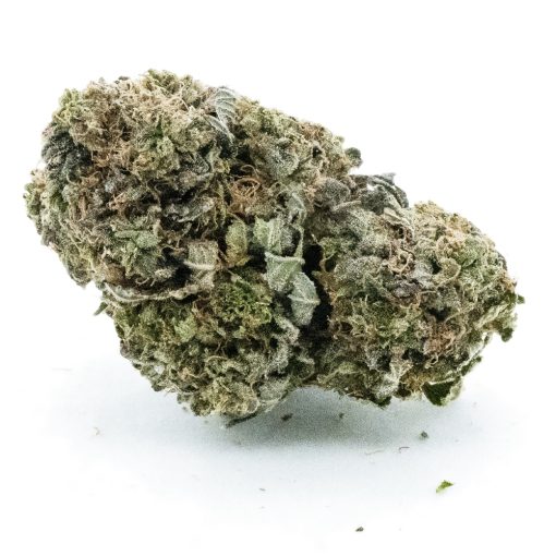 black russian aa nug