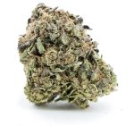 bubba diesel aa nug