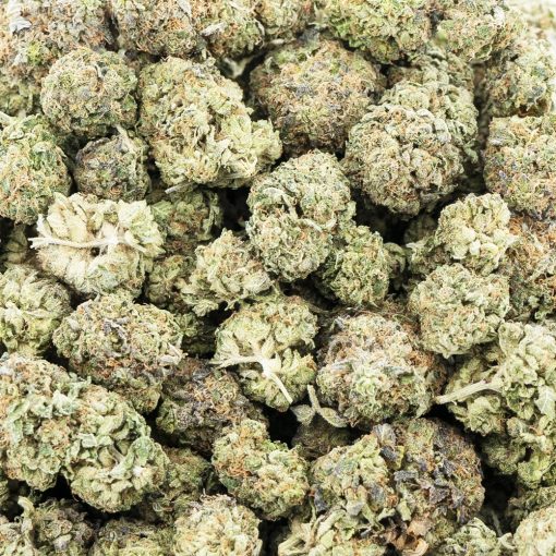 bubba diesel aa wholesale