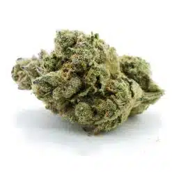 cali big bud craft nug