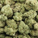 cali big bud craft wholesale