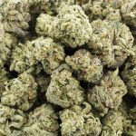 Wholesale - Candyland - Craft