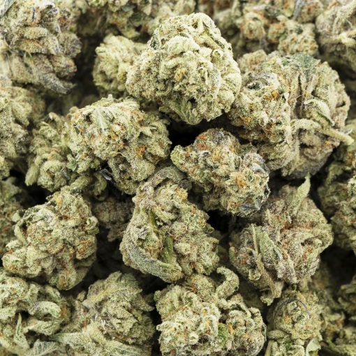 Wholesale - Candyland - Craft