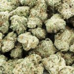 chemdawg sour diesel aaaa wholesale
