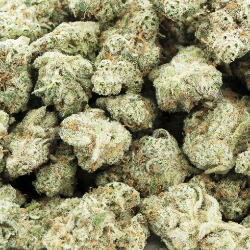 chemdawg sour diesel aaaa wholesale