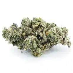 dark dosi aaaa nug