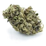 eagle scout a nug