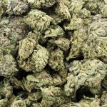 Wholesale - Eagle Scout - A