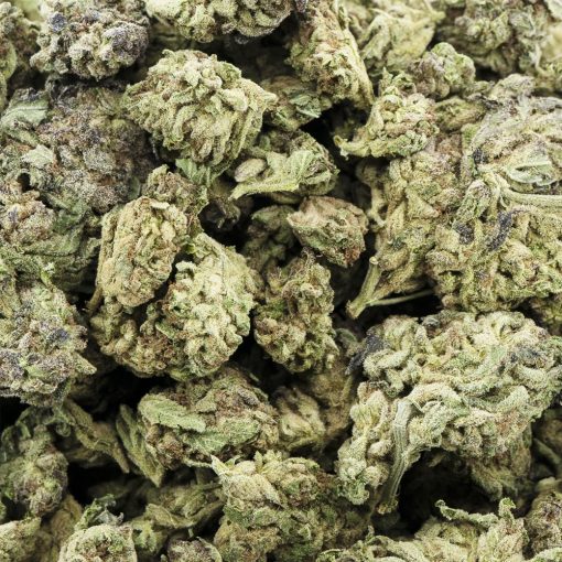 Wholesale - Eagle Scout - A