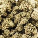 Early Bubba Hash AA – Indica