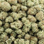gg4 aa wholesale
