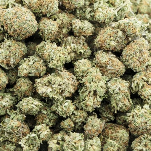 gg4 aa wholesale