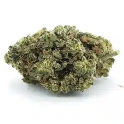 ghost train tang a nug
