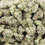 Wholesale - Girl Scout Cookies - AAAA