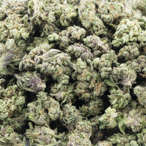 Wholesale Popcorn - GMO Zkittlez - Craft