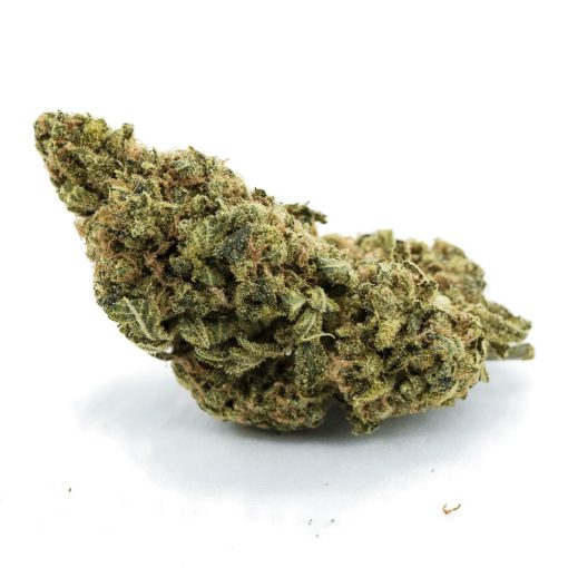 la beatnik a nug